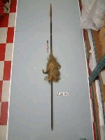 藏品(槍)的圖片